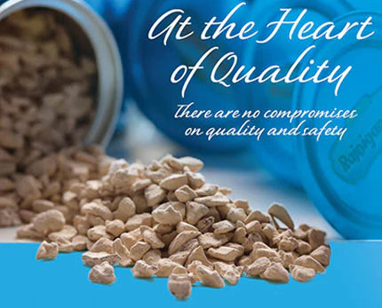 Main Image Main Image