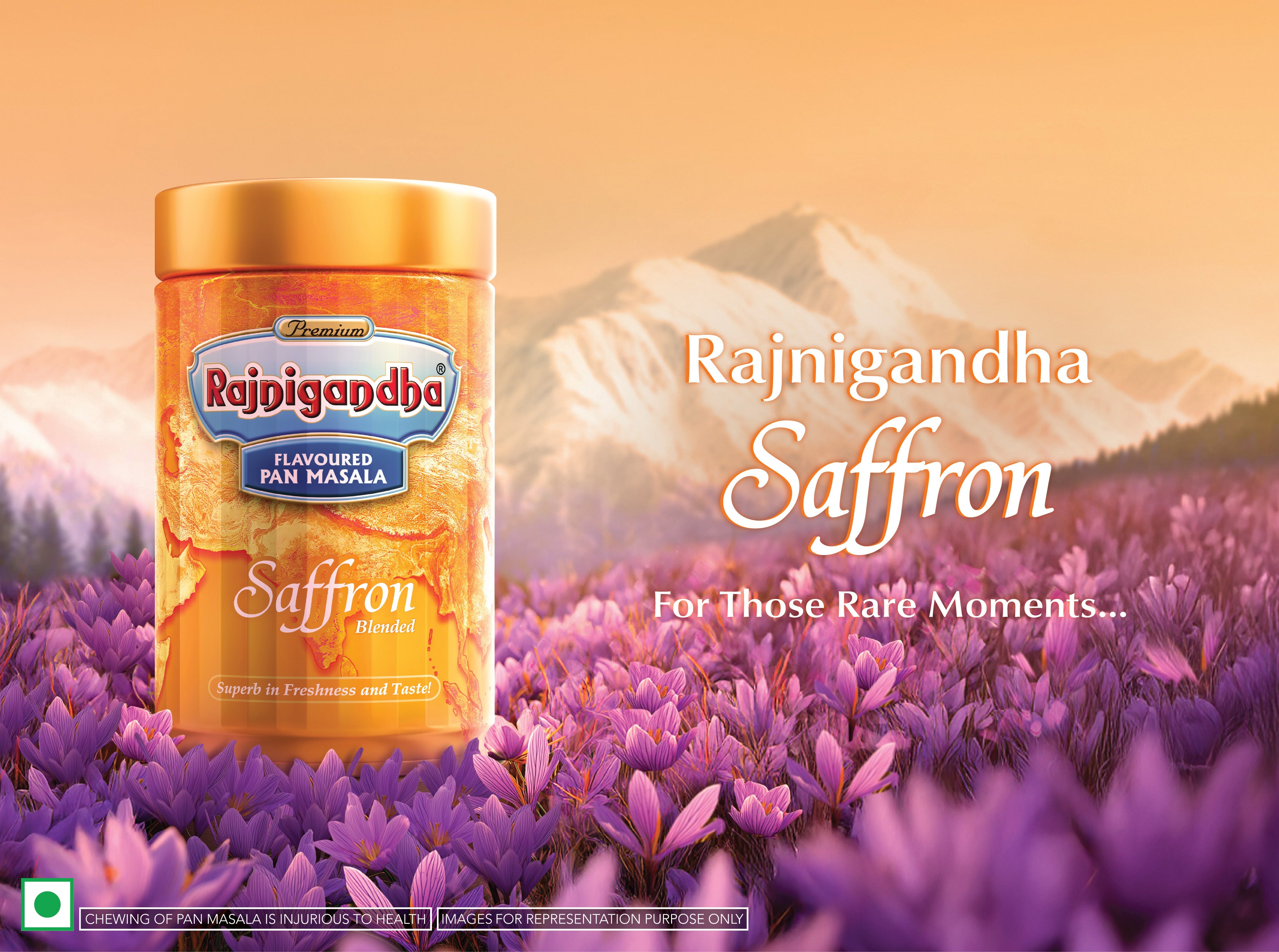 does rajnigandha have tobacco Buy Rajnigandha Pan Masala Products & Sweet Pan Masala Online does rajnigandha have tobacco Buy Rajnigandha Pan Masala Products & Sweet Pan Masala Online